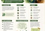 create professional academic posters and presentation slides